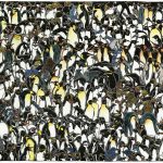 Penguins