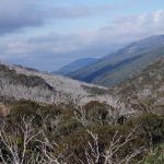 A photo of Australian Alps taken in Kosciuszko national park