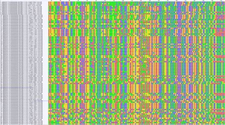 DNA sequence alignments (Image © Anna MacDonald)