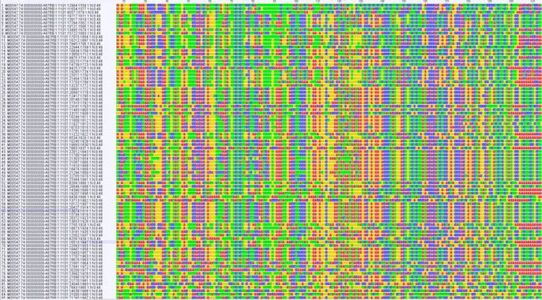 DNA sequence alignments (Image © Anna MacDonald)
